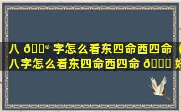 八 💮 字怎么看东四命西四命（八字怎么看东四命西四命 💐 好不好）